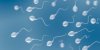 Pourquoi le sperme contient de moins en moins de spermatozoïdes