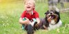 Que faire, mon enfant s'est fait mordre par un chien ?