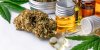Le CBD, un véritable allié pour lutter contre le stress