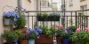 Créez votre oasis de bien-être : le jardinage urbain, un trésor thérapeutique caché