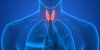 Du nodule thyroïdien au cancer de la thyroïde