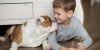 Les traitements anti puces de vos animaux de compagnie peuvent être dangereux pour vos enfants