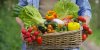 Alimentation : 6 résidus de pesticides sur 10 seraient des perturbateurs endocriniens ?