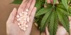 Etats-Unis : Epidiolex, le premier médicament à base de cannabis autorisé