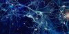 Cancer de la prostate : le cerveau aurait sa part de responsabilité
