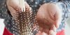Calvitie : découverte d’une molécule qui peut faire repousser les cheveux