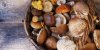 Wok de champignons Wok de champignons