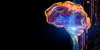 6 moyens de booster son cerveau, selon la science