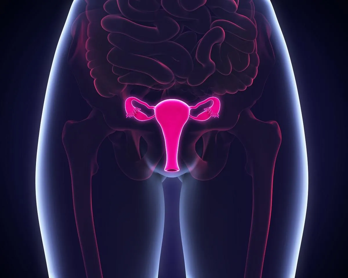 le système de reproduction féminin le système de reproduction féminin
