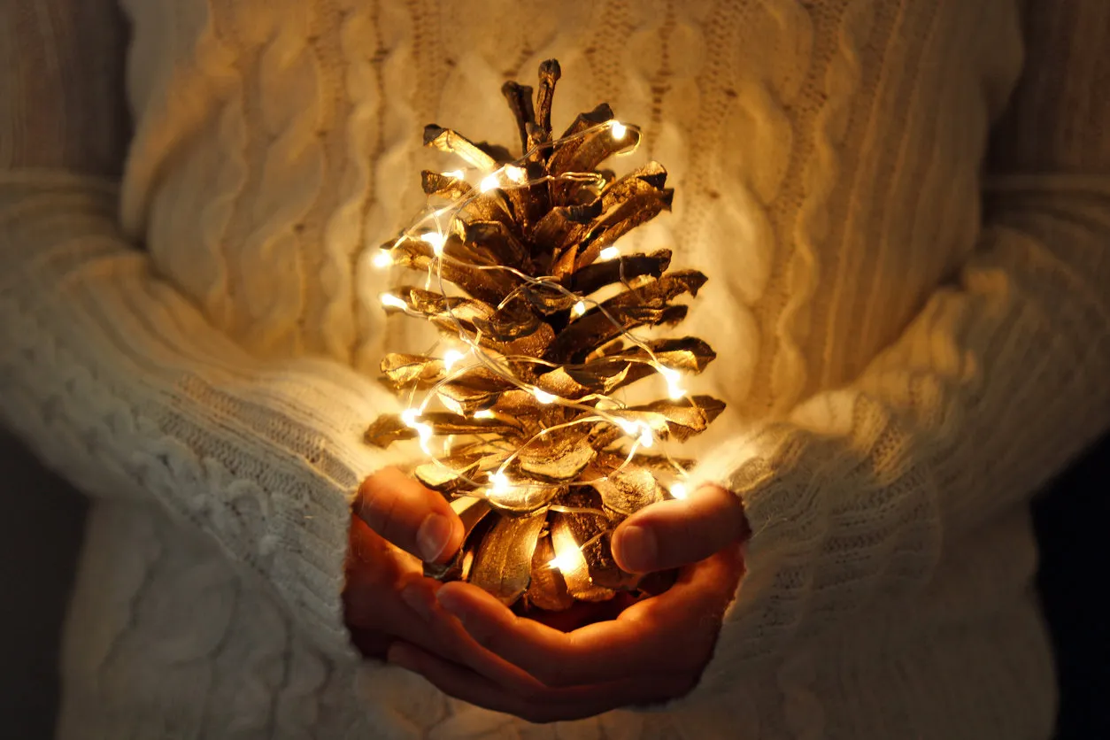 female wearing white sweater holds a large pine cone in front of herself with small white lights female wearing white sweater holds a large pine cone in front of herself with small white lights
