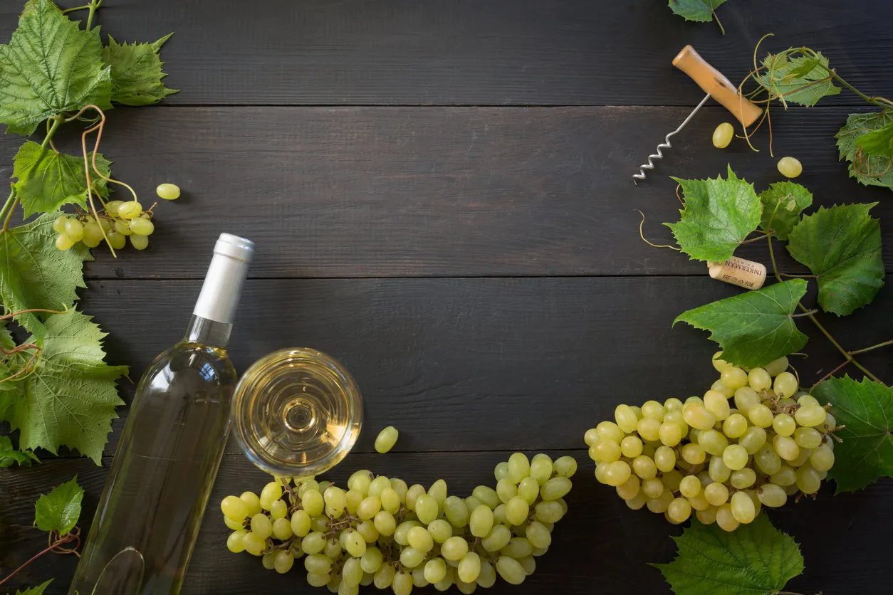 border of white wine, wineglass, border of ripe grape on dark wooden board copy space view from above