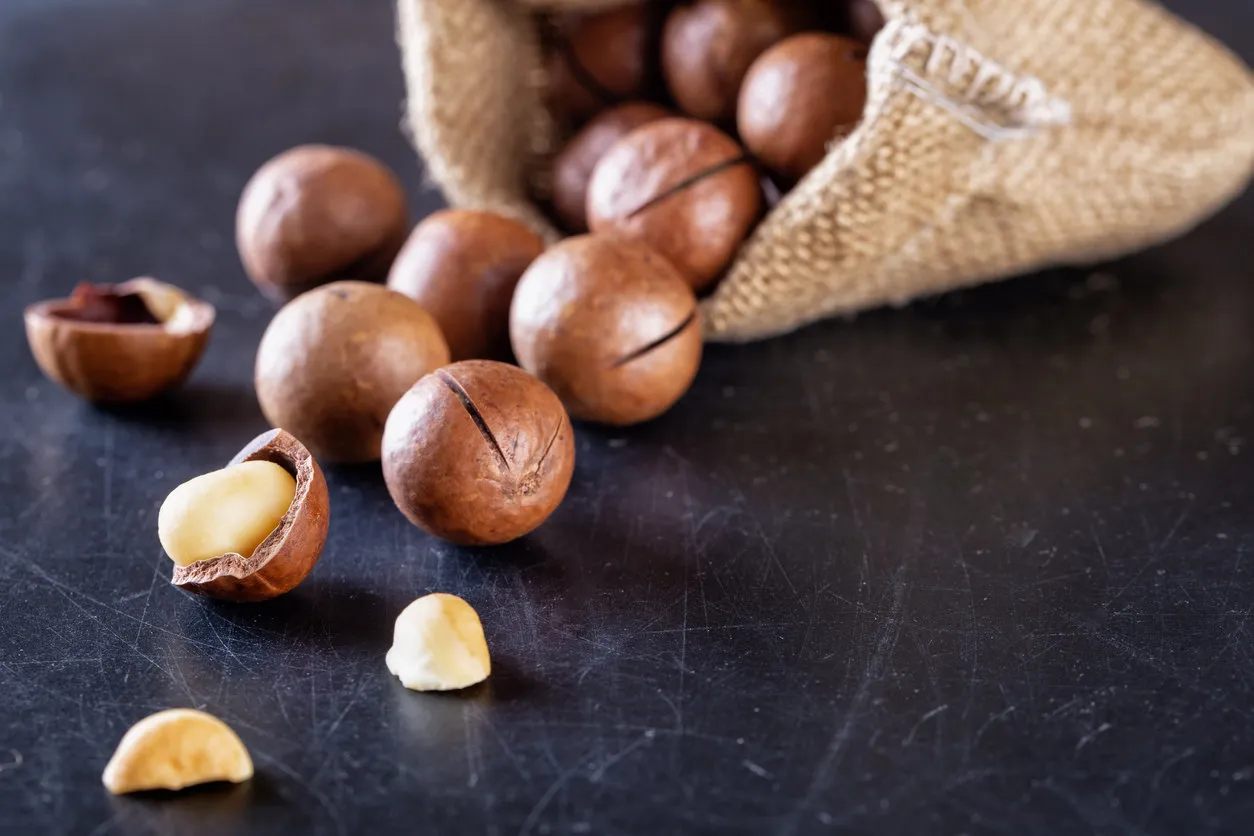 australian macadamia nuts poured out of a bag on a black scratched table