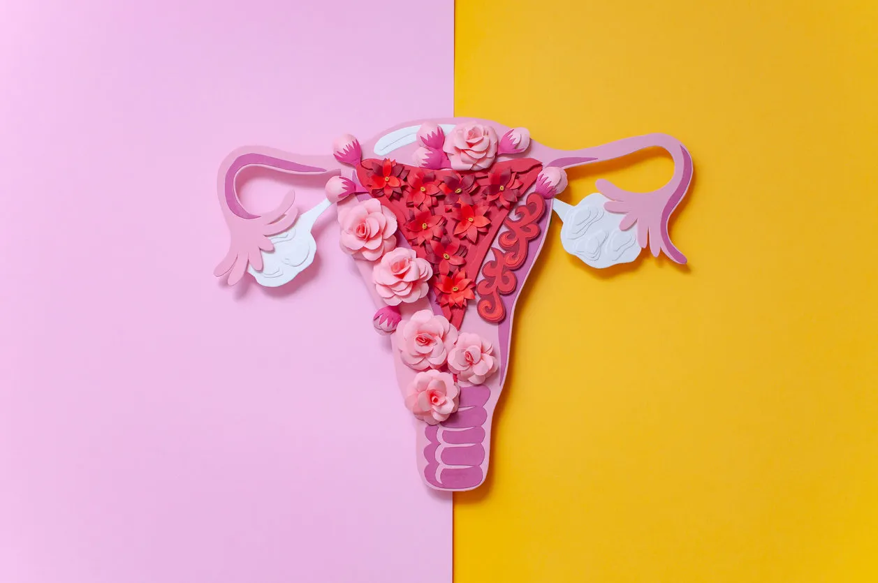 the concept of endometriosis of the uterus diseases of the female reproductive system health and disease are a beautiful art concept made of paper the concept of endometriosis of the uterus diseases of the female reproductive system health and disease are a beautiful art concept made of paper