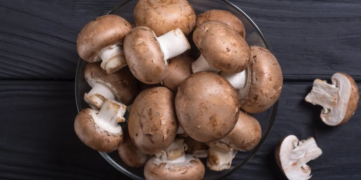 fresh raw royal champignon mushrooms on rustic background fresh raw royal champignon mushrooms on rustic background