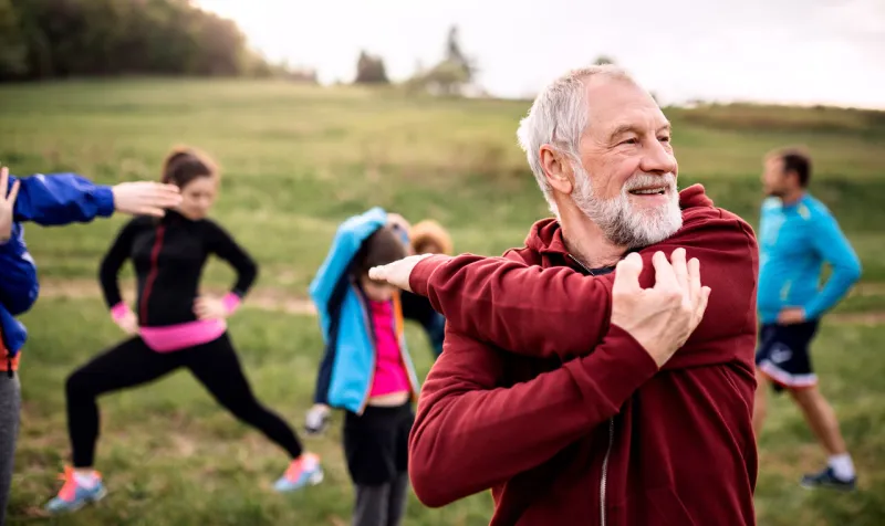 a large group of fit and active people doing exercise in nature, stretching a large group of fit and active people doing exercise in nature, stretching