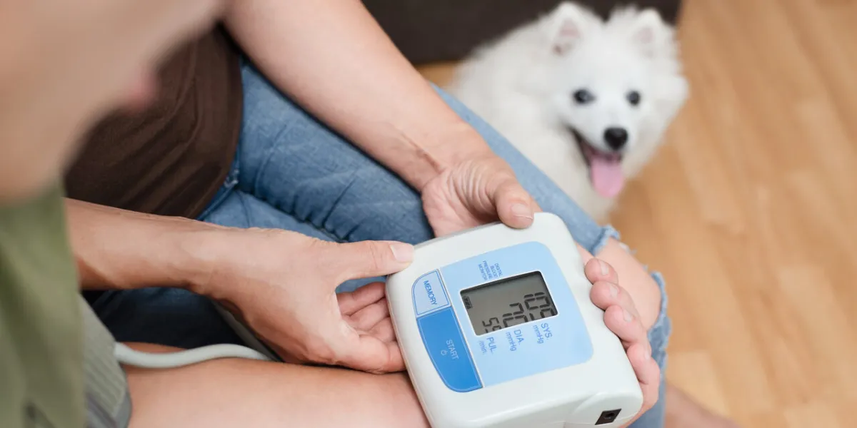 a woman measures her son's blood pressure, teaches him to use a tonometer, faces of the woman and the boy are not visible, the focus is on the tonometer, a dog is lying nearby, medical concept a woman measures her son's blood pressure, teaches him to use a tonometer, faces of the woman and the boy are not visible, the focus is on the tonometer, a dog is lying nearby, medical concept