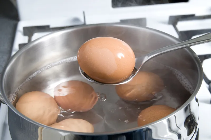 oeuf