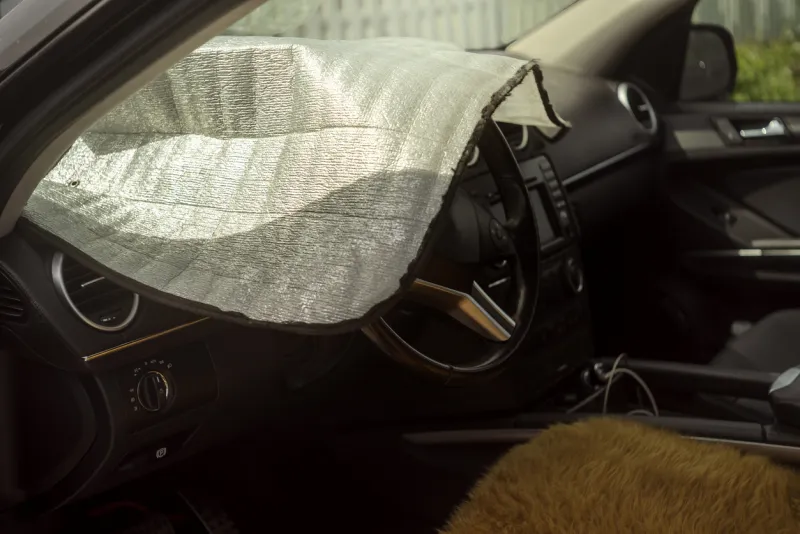 voiture protection habitacle