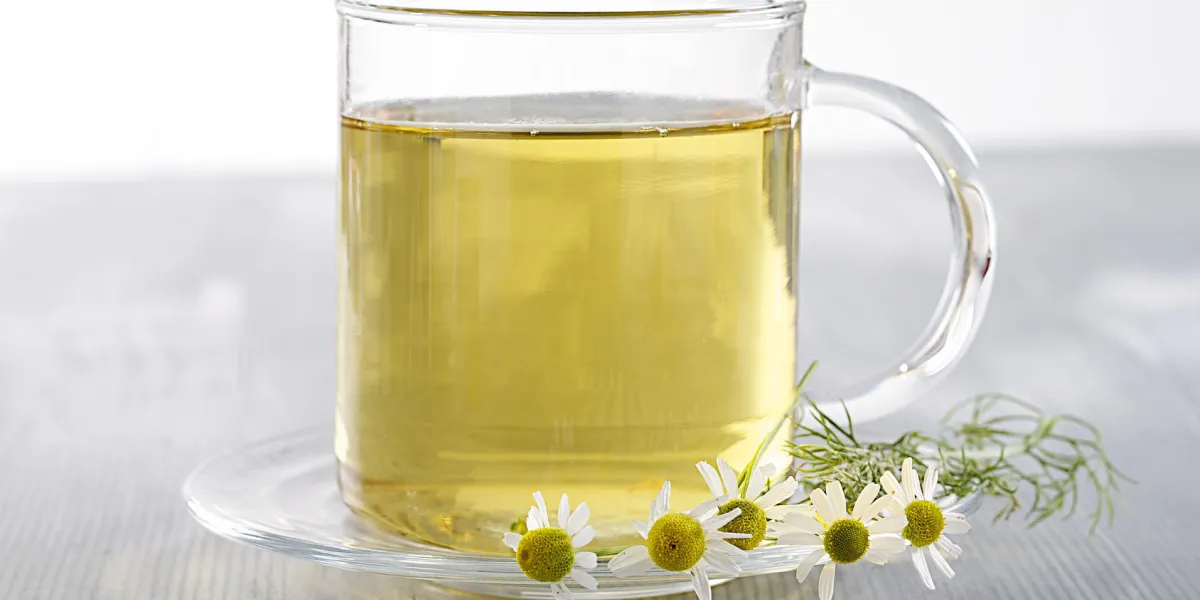camomille romaine - tisane camomille romaine - tisane
