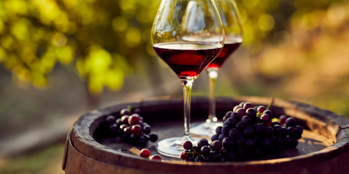 two glasses of red wine on a wooden barrel in the vineyard two glasses of red wine on a wooden barrel in the vineyard
