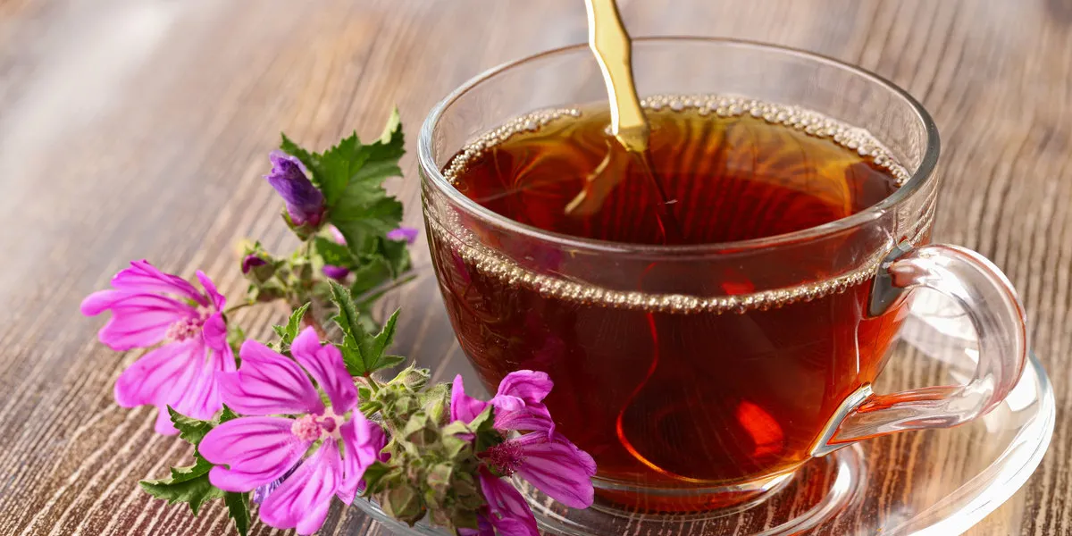 malva sylvestris tea , hibiscus tea malva sylvestris tea , hibiscus tea
