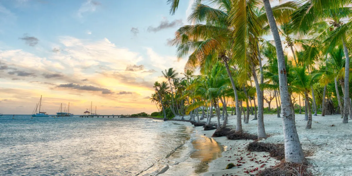 sunset over anse champagne beach in saint francois, guadeloupe, caribbean