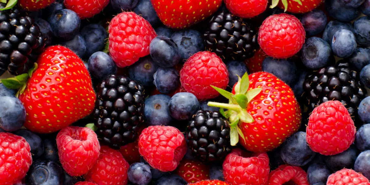 close up macro photography of wild berry mix - strawberries, blueberries, blackberries and raspberries close up macro photography of wild berry mix - strawberries, blueberries, blackberries and raspberries
