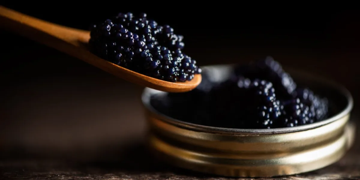 black lumpfish caviar in a small pot and spoon close up black lumpfish caviar in a small pot and spoon close up