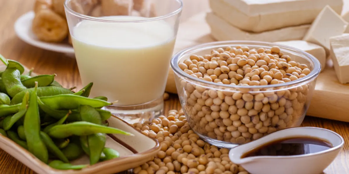 soy bean, tofu and other soy products soy bean, tofu and other soy products
