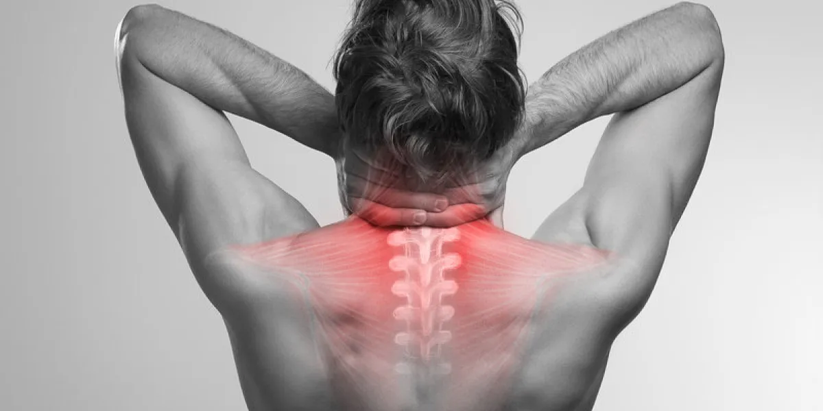 neck pain, upper spine, cervical and thoracic