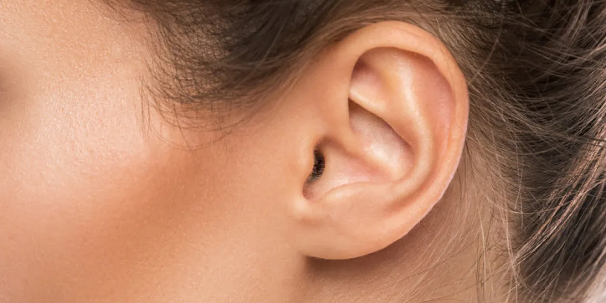 close up of female ear close up of female ear