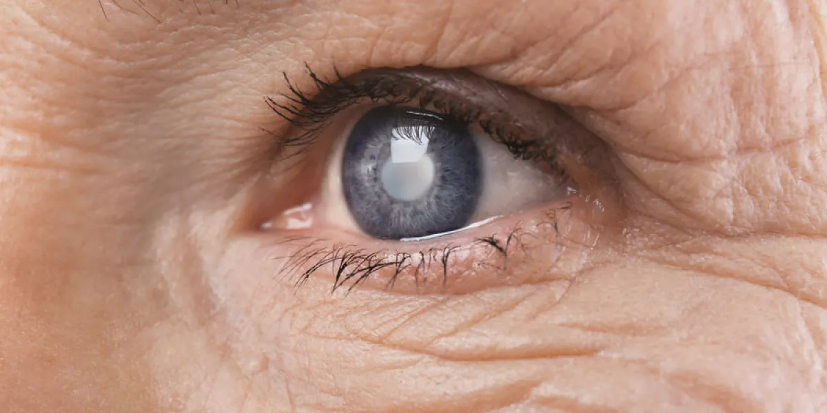 senior woman face with wrinkles, closeup