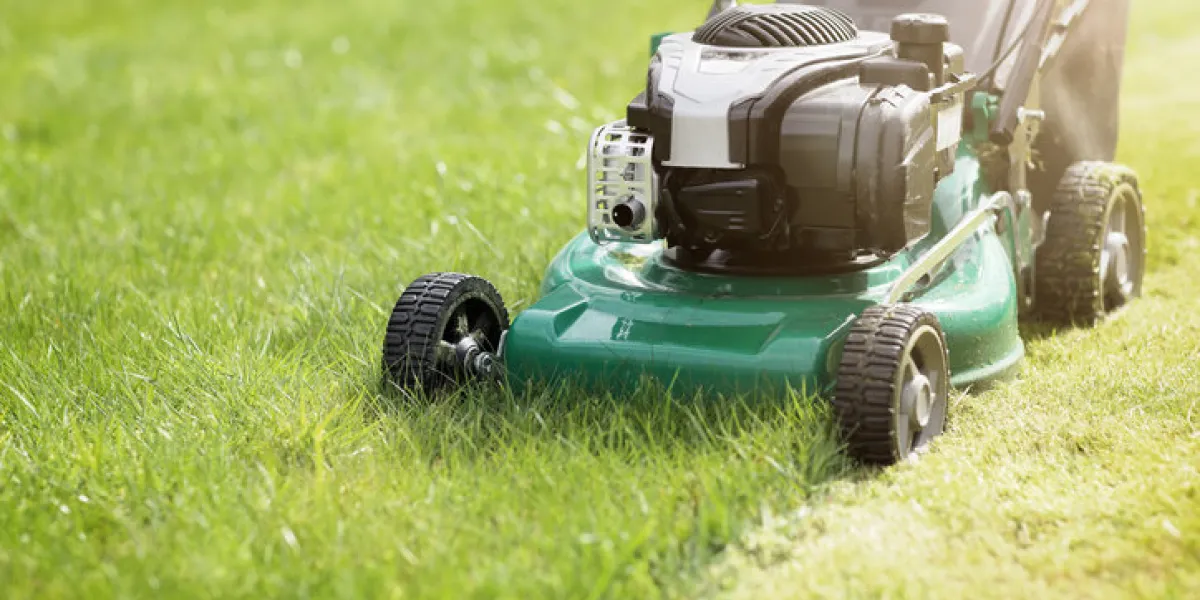 mowing or cutting the long grass with a green lawn mower in the summer sun mowing or cutting the long grass with a green lawn mower in the summer sun