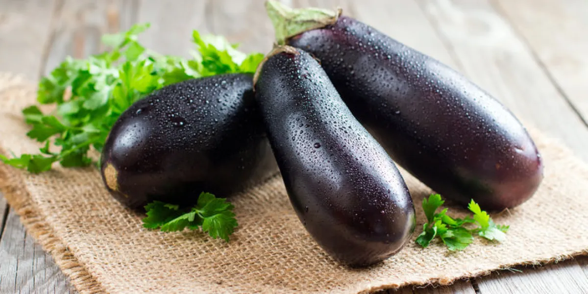 fresh eggplant on wooden background fresh eggplant on wooden background