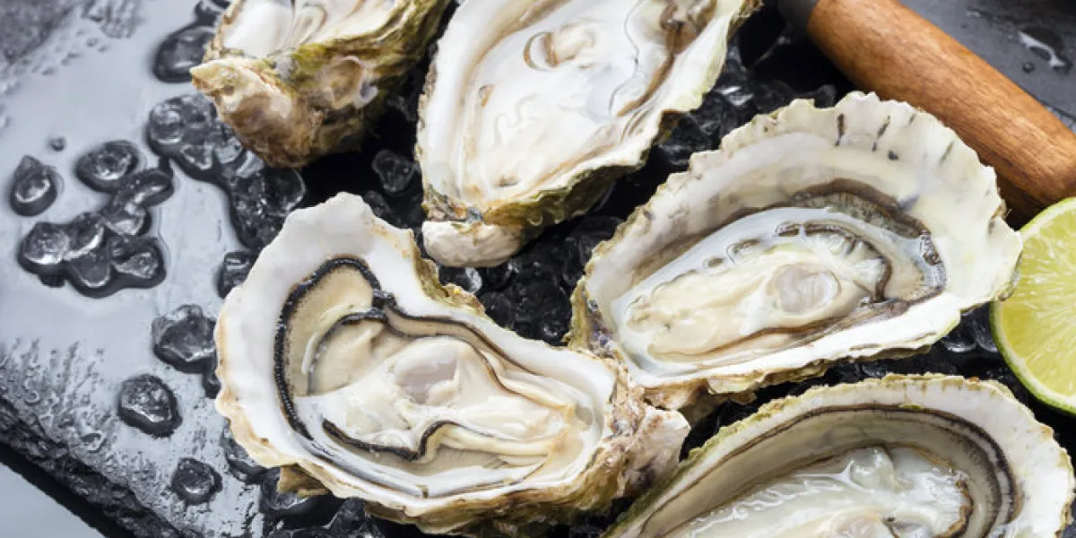 set of fresh opened oysters with ice, lemon and knife on black slate background set of fresh opened oysters with ice, lemon and knife on black slate background
