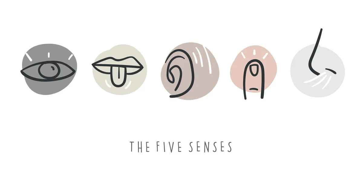 hand drawn simple icons representing the five senses hand drawn doodles hand drawn simple icons representing the five senses hand drawn doodles