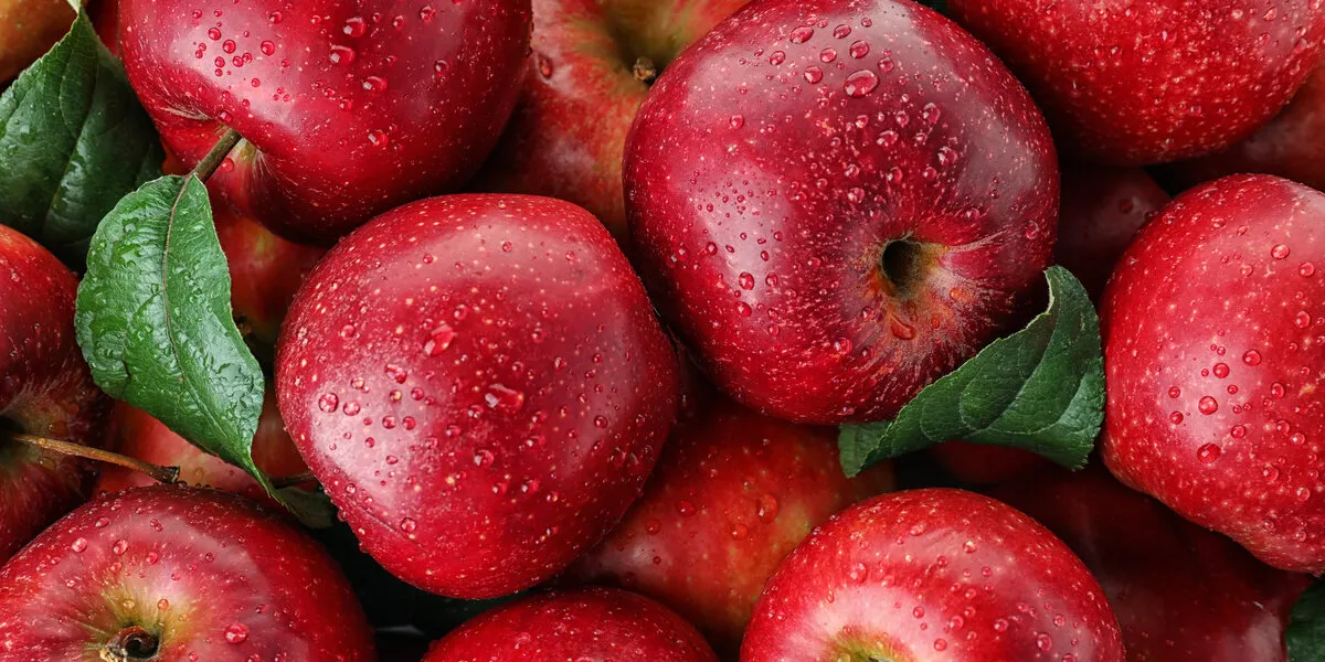 many ripe juicy red apples covered with water drops as background many ripe juicy red apples covered with water drops as background