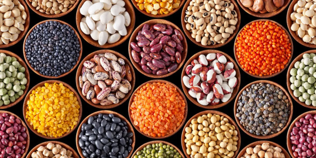seamless texture with legumes on black background