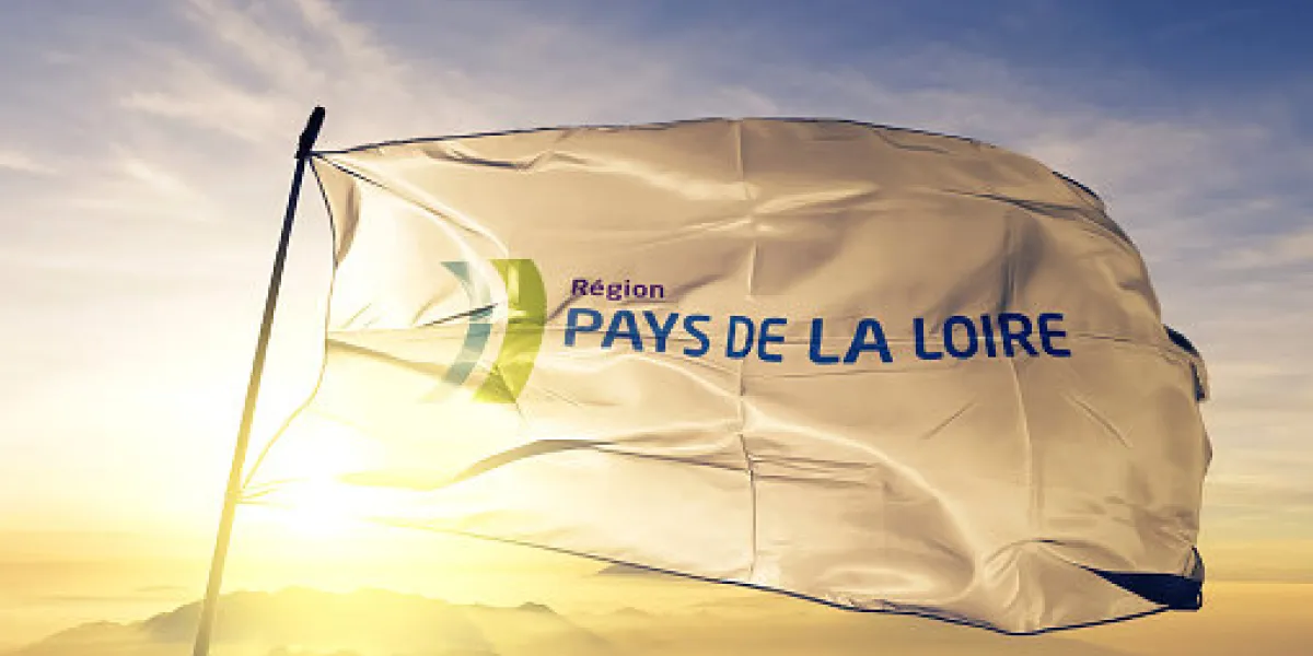 pays de la loire logo region of france flag on flagpole textile cloth fabric waving on the top sunrise mist fog pays de la loire logo region of france flag on flagpole textile cloth fabric waving on the top sunrise mist fog