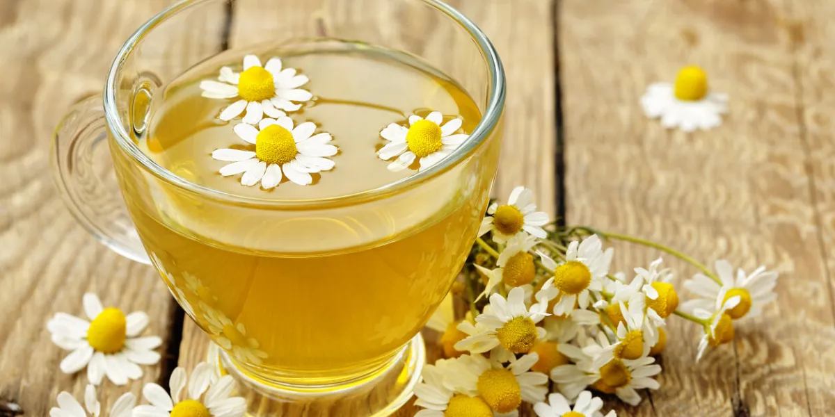 cup of chamomile tea with chamomile flowers