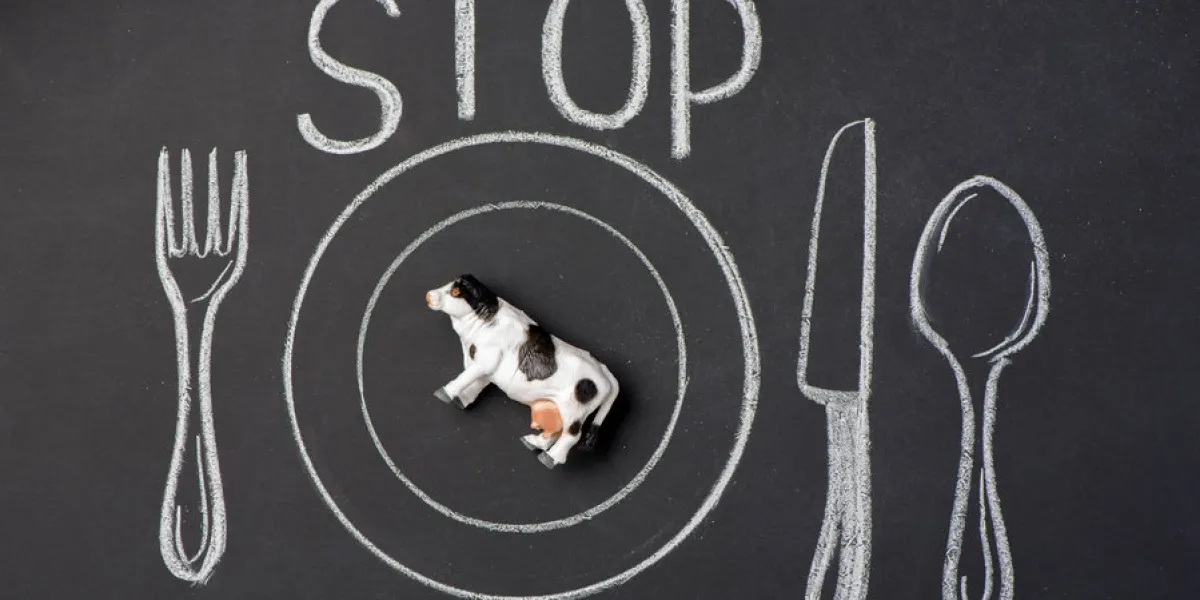 toy white and black cow on a plate in the figure on the chalk board toy white and black cow on a plate in the figure on the chalk board