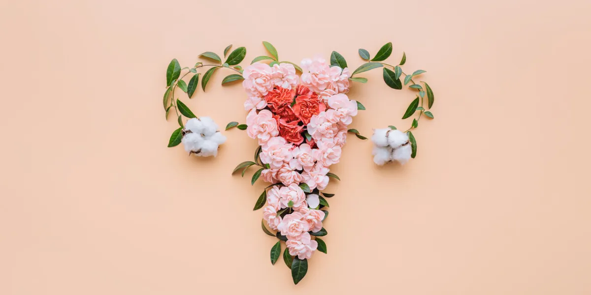 abstract image of the uterus female reproductive system made up of flowers and leaves uterus conceptual image abstract image of the uterus female reproductive system made up of flowers and leaves uterus conceptual image