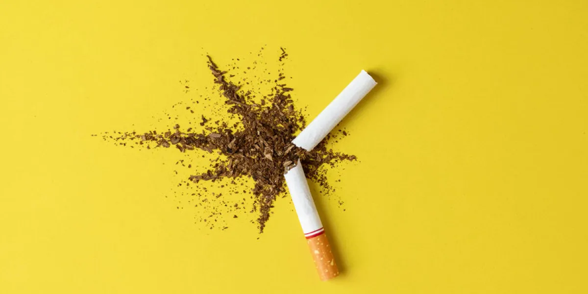 close up cigarette broken tobacco blast spread on yellow pastel background with light side and little shadow no and quitting smoking concept