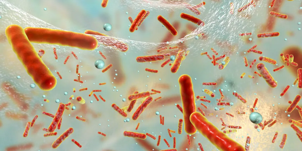antibiotic resistant bacteria inside a biofilm, 3d illustration biofilm is a community of bacteria where they aquire antibiotic resistance and communicate with each other by quorum sensing molecules antibiotic resistant bacteria inside a biofilm, 3d illustration biofilm is a community of bacteria where they aquire antibiotic resistance and communicate with each other by quorum sensing molecules
