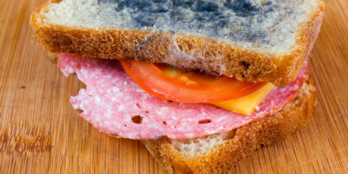 moldy sandwich with salami, tomatoes on a chopping board moldy sandwich with salami, tomatoes on a chopping board
