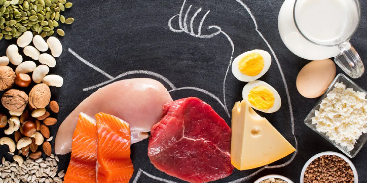 high protein food for body builders as meat, fish, dairy, eggs, buckwheat, oatmeal, nuts, bean, pumpkin seed and sunflower seed top view high protein food for body builders as meat, fish, dairy, eggs, buckwheat, oatmeal, nuts, bean, pumpkin seed and sunflower seed top view
