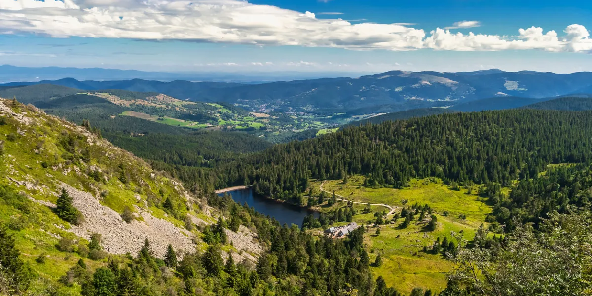 mountain landscape overlooking view from the gazon du faing on the forlet lake in the vosges mountains in summer, vosges, france mountain landscape overlooking view from the gazon du faing on the forlet lake in the vosges mountains in summer, vosges, france