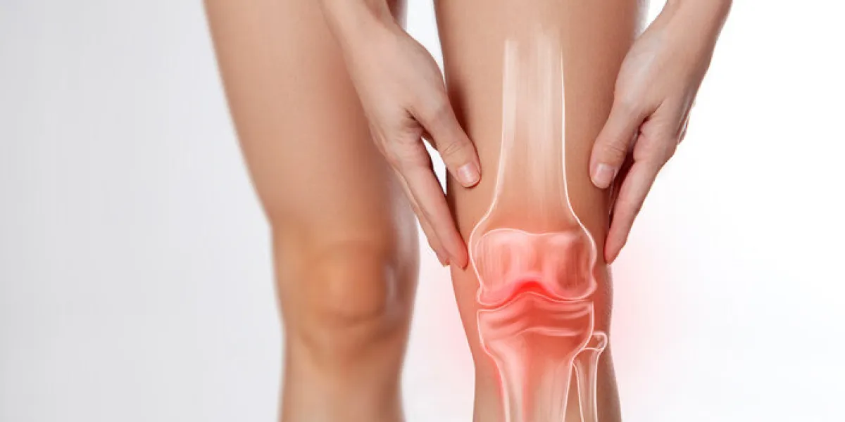 knee pain, meniscus inflamed, human leg medically accurate repre knee pain, meniscus inflamed, human leg medically accurate repre