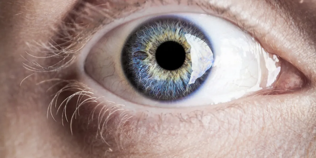 macro blue eye with lots of details using studio lights macro blue eye with lots of details using studio lights