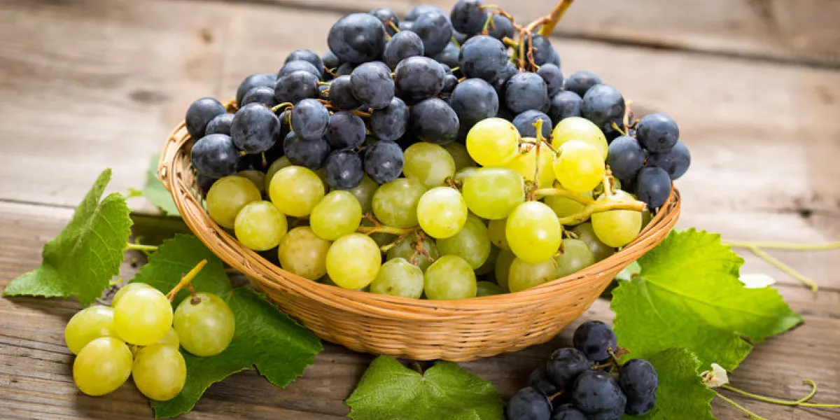 fresh grapes in the basket